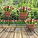 Sorbus Tricycle Plant Stand – Flower Pot Cart Holder – Ideal for Home, Garden, Patio – Great Gift for Plant Lovers, Housewarming, Mother’s Day – Parisian Style (Black)thumb 4