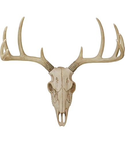 Amazon.com: Zeckos Decorative Filigree Design Hanging Deer Skull