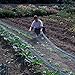 33ft X 13ft Garden Plant Netting Protect Vegetable Fruit Trees Crops Against Birds Chicken Squirrel Netting Rodents Rabbit Fence with 0.59
