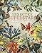 Insectes superstars by 