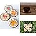 Natural Wood Slices 15 Pcs 3.5