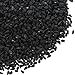 Spice Jungle Nigella Seeds - 4 oz.