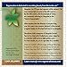 Regeneration USA Anti-Aging Tea of Life, 3.35-Ounce Package