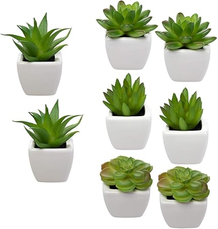 maceta decorativa envase