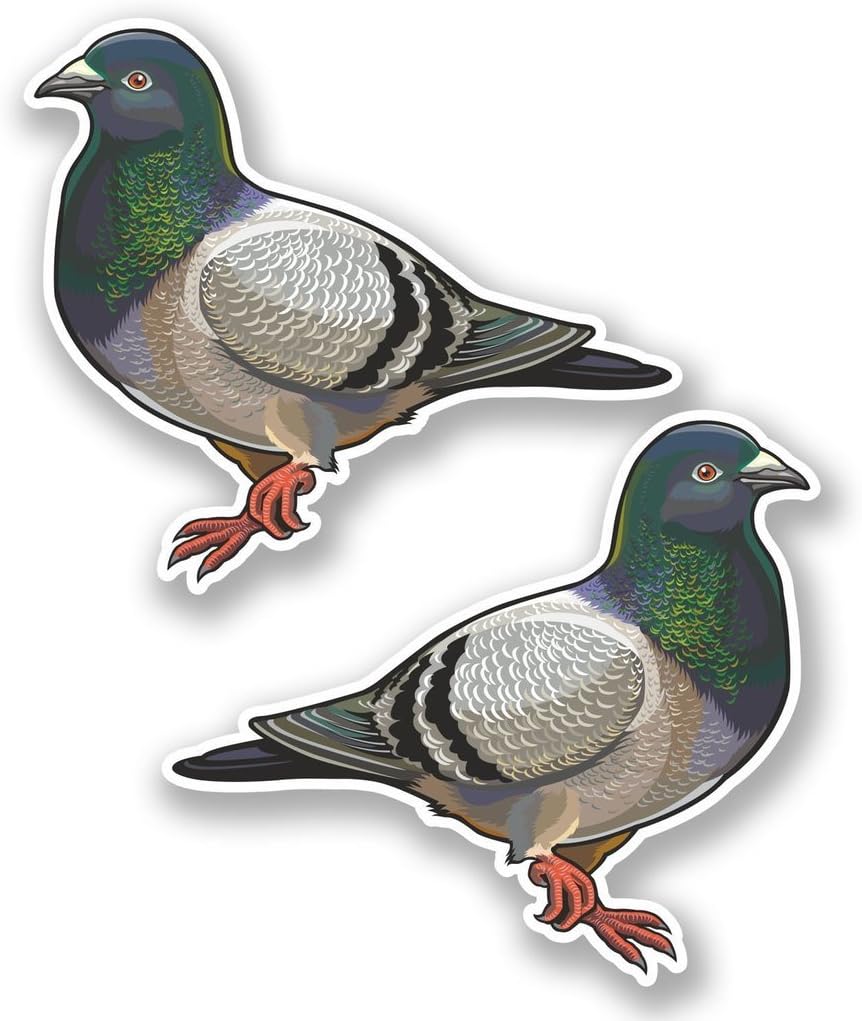 2 x 10cm- 100mm Pigeon Vinyl SELF ADHESIVE STICKER Decal Laptop Travel Luggage Car iPad Sign Fun #5556