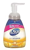 Dial Complete 1210130 Antimicrobial Foaming Kitchen