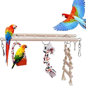 pappagallo giocattolo