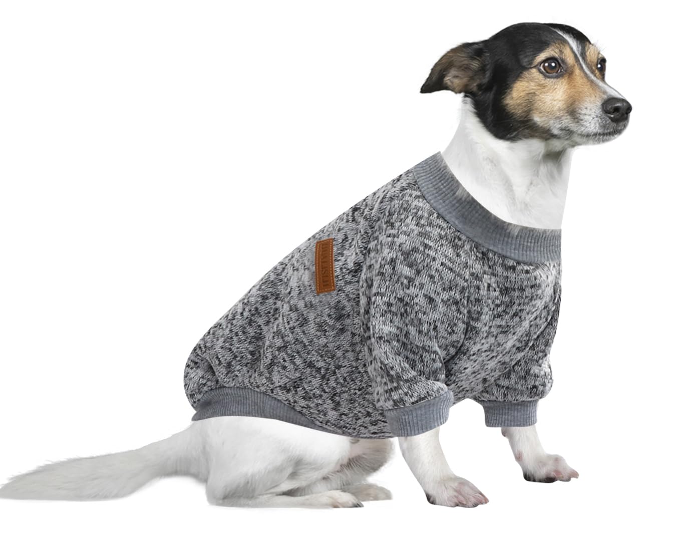HuaLiSiJi 5XL Dog Jumper Large Dog Sweatshirt Fleece Inside Soft Cozy Colour Vibrant Easy to Take On and Off (Gray, 5XL)