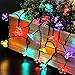 WishWorld Outdoor Christmas Solar String Lights, 21ft 50LED Waterproof Blossom Flower Fairy Lights Decorative Lighting for Garden, Party, Patio, Lawn and Xmas Tree Decorations(Multi Color)