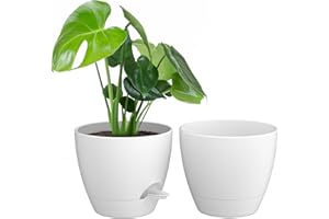 ZMTECH 8 Inch Plant Pots Set of 2 Planters for Indoor Plants Self Watering Pots Flower Pots with Drainage Holes and Saucer fo