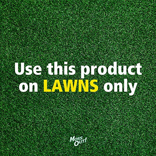 Lilly Miller Moss Out for Lawns Ready to Spray 32oz, 1(Pack) Pricepulse