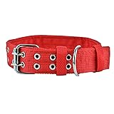 Cdycam Heavy Duty Adjustable Dog Collar, 1.5 Inch