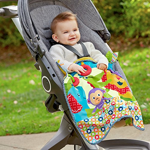 Fisher-Price On-The-Go Activity Throw