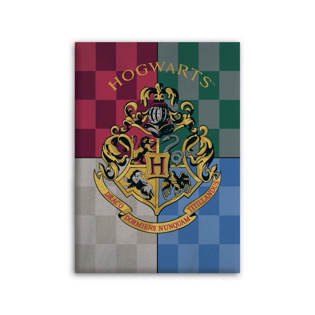 WAR Harry Potter Hogwarts polar blanket