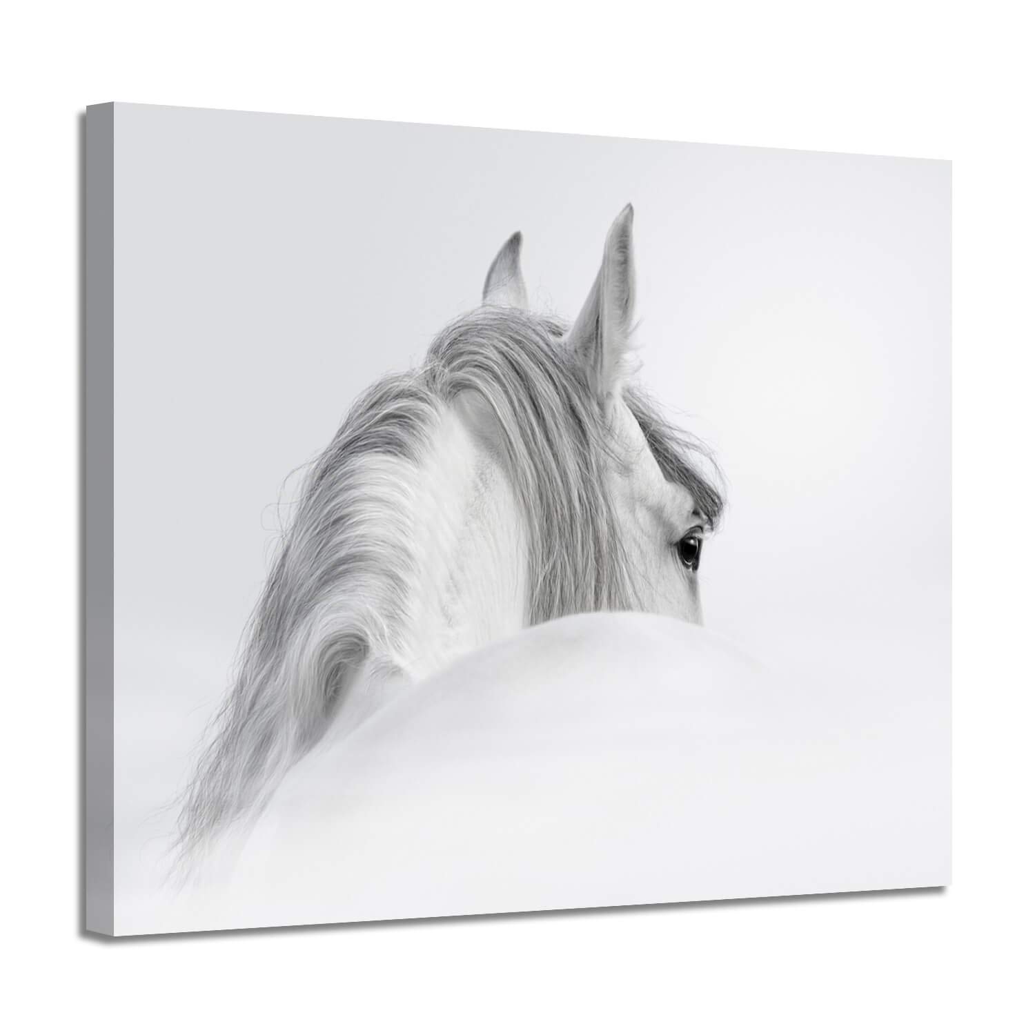 Which Is The Best Canvas Painting Home Decor