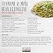 Explore Cuisine Organic Edamame & Mung Bean Fettuccine - 8 oz, Pack of 2 - Easy-to-Make Pasta - High in Plant-Based Protein - Non-GMO, Gluten Free, Vegan, Kosher - 8 Total Servings