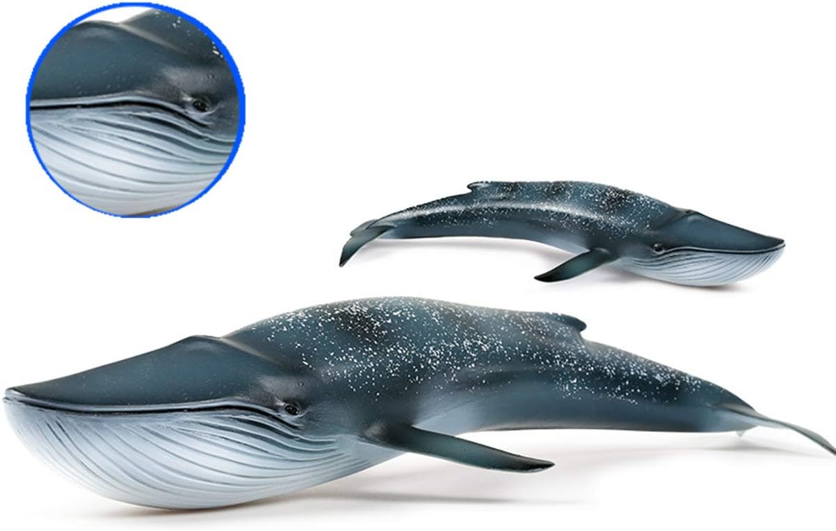 Amazon Bignick クジラ シロナガスクジラ 鯨類 リアル 海洋動物 生物 魚類 フィギュア Pvc ビニールモデル プラモデル おもちゃ プレミアム 28m こどもクジラ好きの孫への誕生日 プレゼント オリジナル インテリア フィギュア ドール 通販