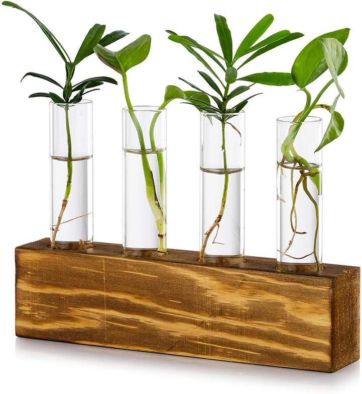 Tabletop Hanging Glass Planter Propagation Station Modern 4 Test Tube