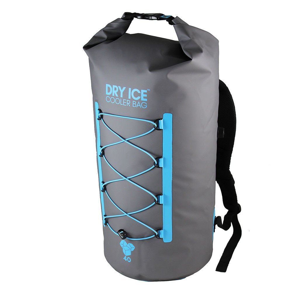 dry ice insulated bag