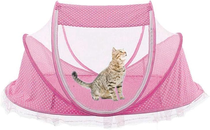 outdoor cat runs for indoor cats uk