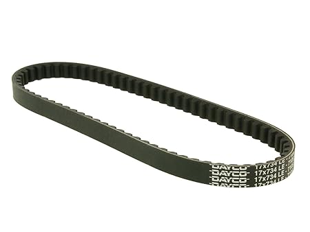 DAYCO Keilriemen