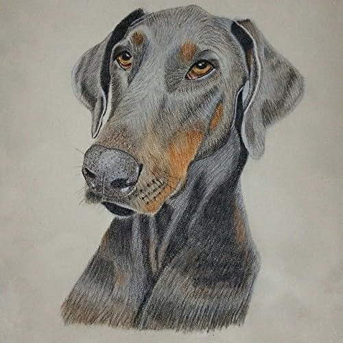 Personalized Pet Portrait Colored Pencil Drawing Artist