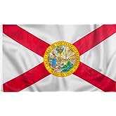 PMLAND 3x5 feet Florida State Flag - Printed Vivid Color Quality Polyester Flag Indoor Outdoor