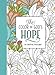 The Color of God's Hope by