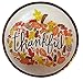 Fall Theme Party Supplies Thankful Pumpkin Thanksgiving Party Supplies 20 count Extra Large Paper Plates, Dessert Plates & Large Napkins
