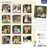 Image de Shih Tzu 2017 Square (Multilingual Edition)