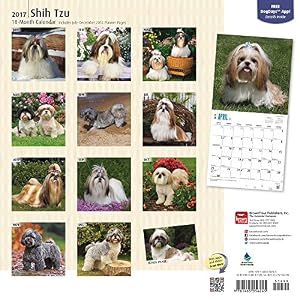 Shih Tzu 2017 Square (Multilingual Edition)