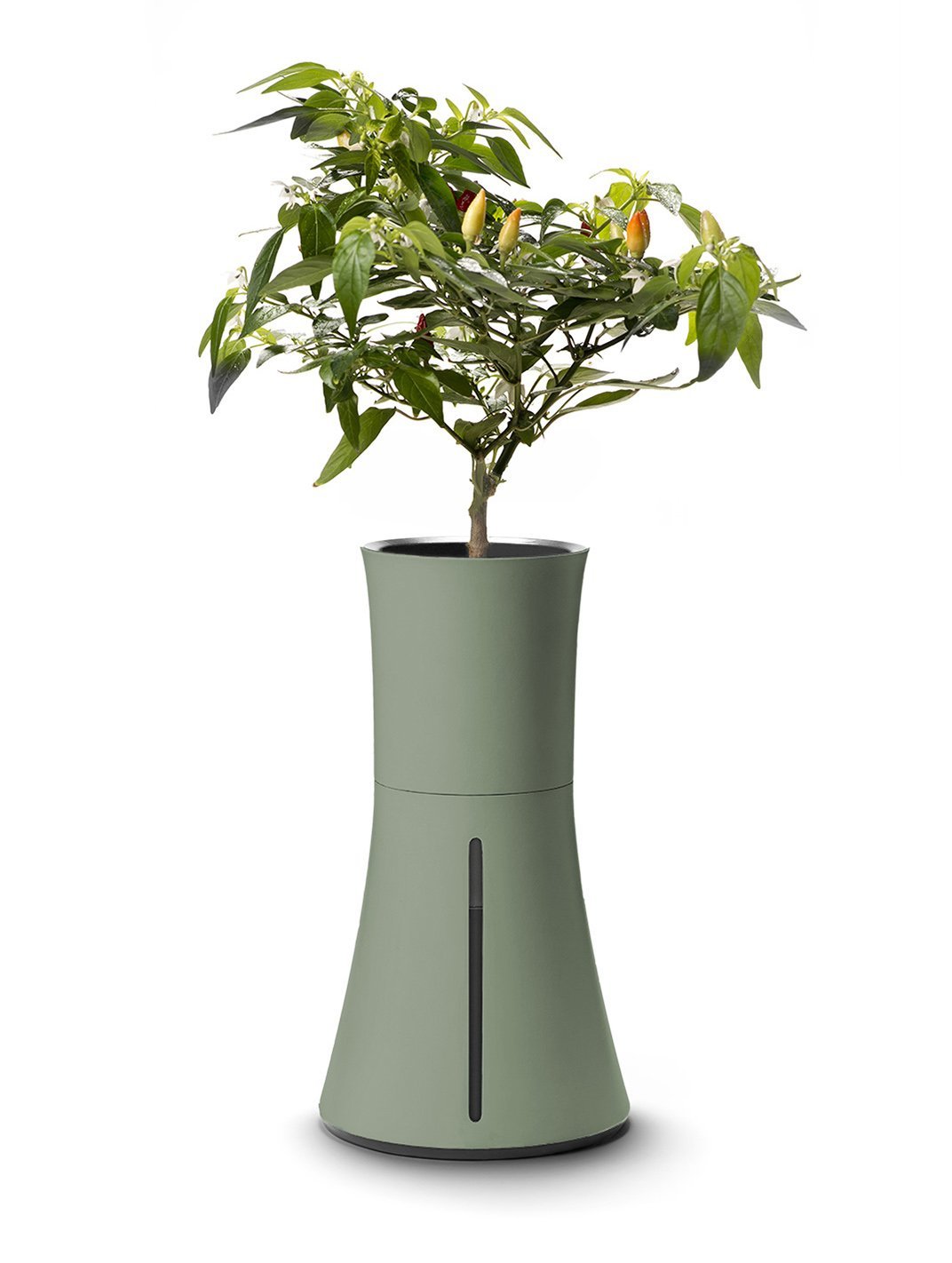 Botanium Hydroponic Grow Kit, Laurel Green