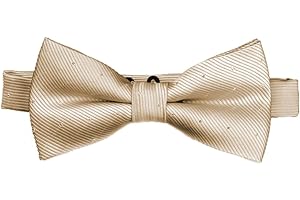 Flairs New York Little Gentleman's Kids Bow Tie and Suspenders