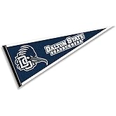 Dalton State Roadrunners Pennant