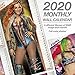 2020 Women of WWE Wrestling Wall Calendar (DDW0752820)