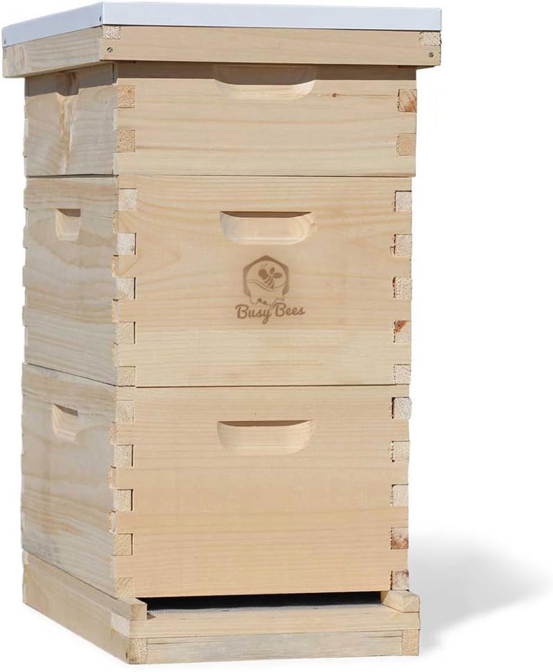 Amish Made in USA Complete 8 Frame Langstroth Bee Hive includes Frames and Foundations (2 Deep, 1 Medium)
