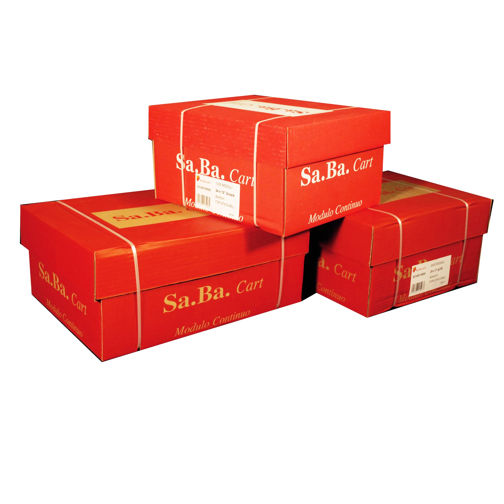 SA.Ba.Cart s01240116000 Continuous Paper, 240 mm x 11 ", 60 G/Qm, White, Pack of 2000 Sheets