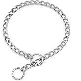 Metal Choke Chain Dog Collar Training Slip P-Link Puppy Choker Collars XS | SUS 304 Stainless Steel, Doesn't Rust Durable, Adjustable For XS Small Medium Large Dogs, Diameter 2mm 40cm