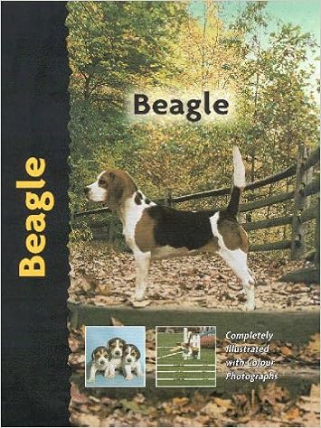 Beagle �n�[�h�J�o�[ - 2000/5/1