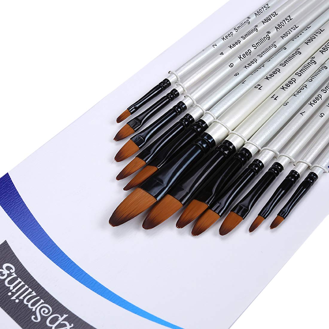 Silithus Paint Brushes 12 Pieces Set, Professional Fine Tip Paint Brush Set Round Pointed Tip Nylon Hair Artist Acrylic Brush for Acrylic Watercolor Oil Painting (Oval)