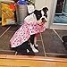RC Pet Products Packable Dog Rain Poncho, Pitter Patter Pink, Large