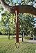Planet Earth Play Equipment 5' Easy-Hang Swing Strap - Single Strap Plus Carabiner the Fastest and Easiest Way to Hang any Swing