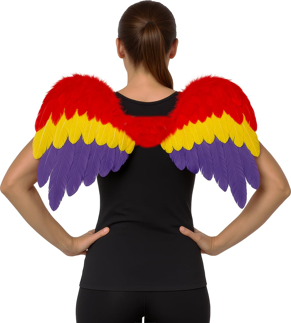 Fiestas Guirca Wings with feathers polychrome cm 58x40