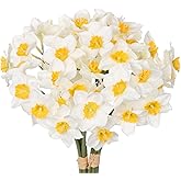 Briful 12 Stems Daffodils Artificial Flowers 2 Bunches Real Touch Fake Narcissus Flower 9in Silk Spring Fake Flowers Wedding Floral Decor Bouquet for Home Party Wedding Office Anniversary Decor,White