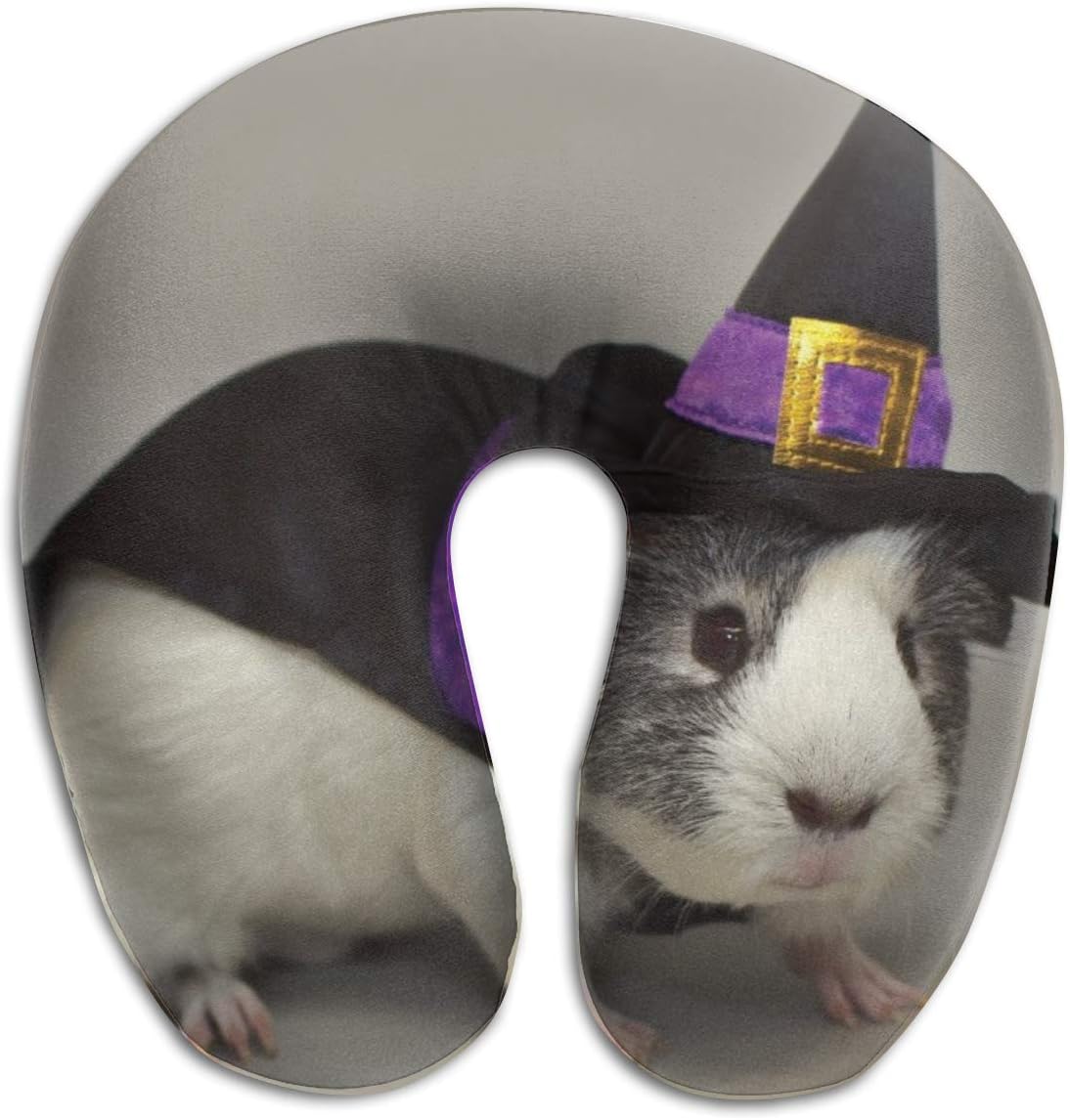 guinea pig travel case