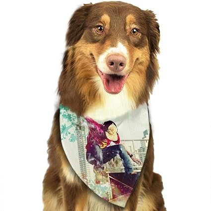 Amazoncom Address Verb Dog Bandana Pet Scarf 62955511