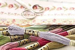 Dmc 6-Strand Embroidery Cotton 8.7yd-Black