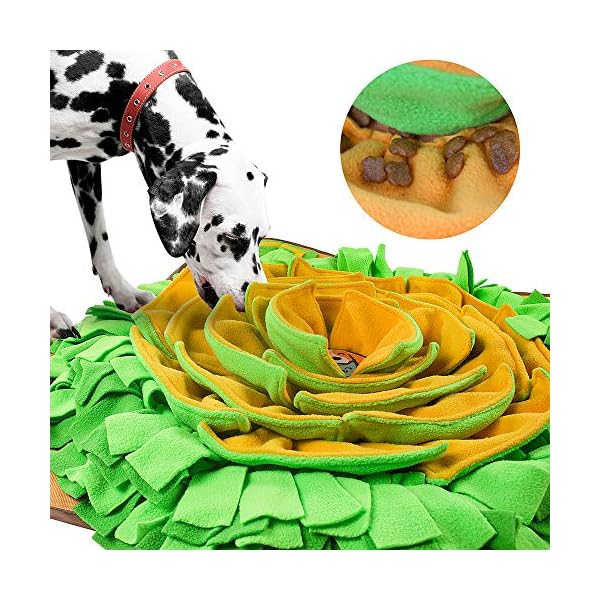 foraging mat for dogs