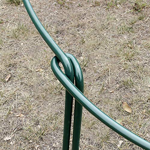 HiGift Garden Support Hoop Stakes, 2-Pack Semicircular Metal Plant Prop Ring Cage, Garden Plant Support Ring, Border Support, Plant Support Rods for Rose Hydrangea Vine, Width 10" x Height 15.8"