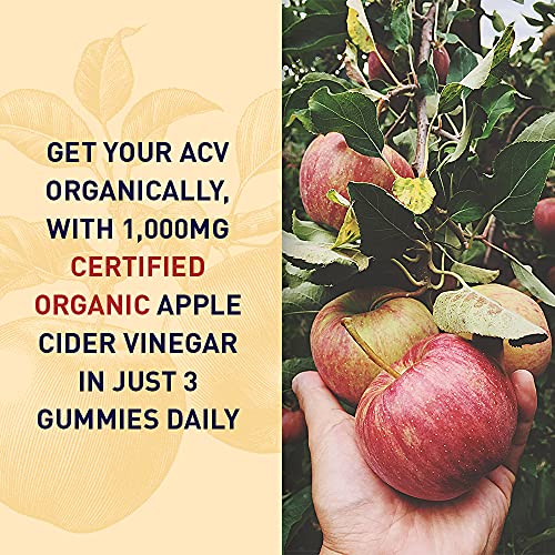 Apple Cider Vinegar Energy Gummies by Garden of Life mykind Organics